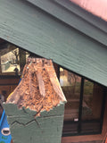 Copper Beam Cap